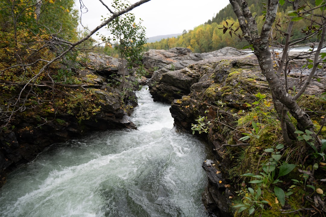 Unconventional Ways to Explore Nature Without Breaking the Bank